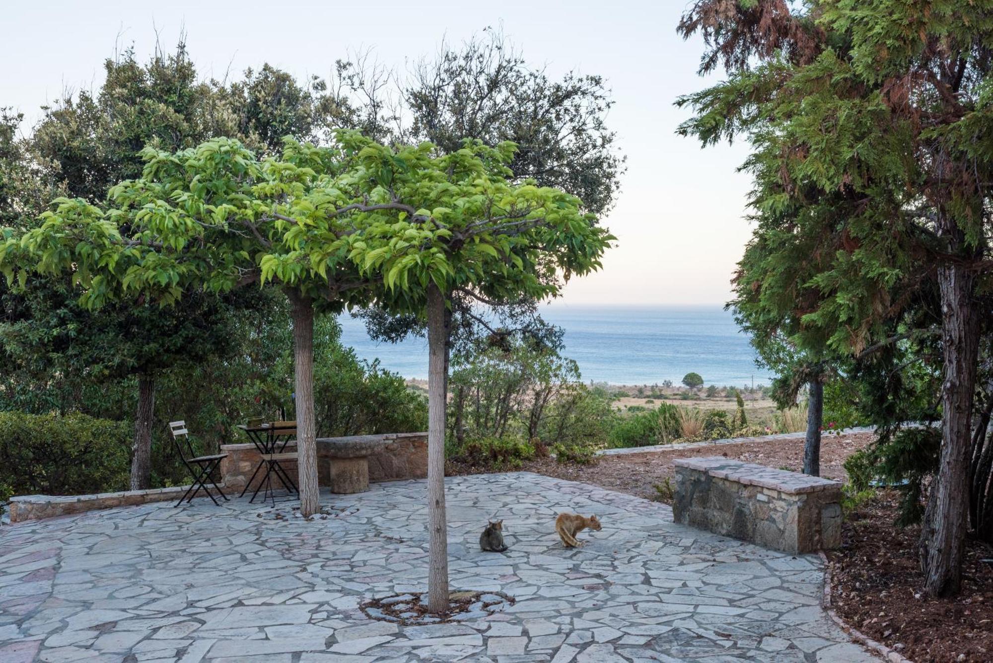 Villa Venus Avlemonas Exterior foto